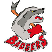 Badgers Badgers